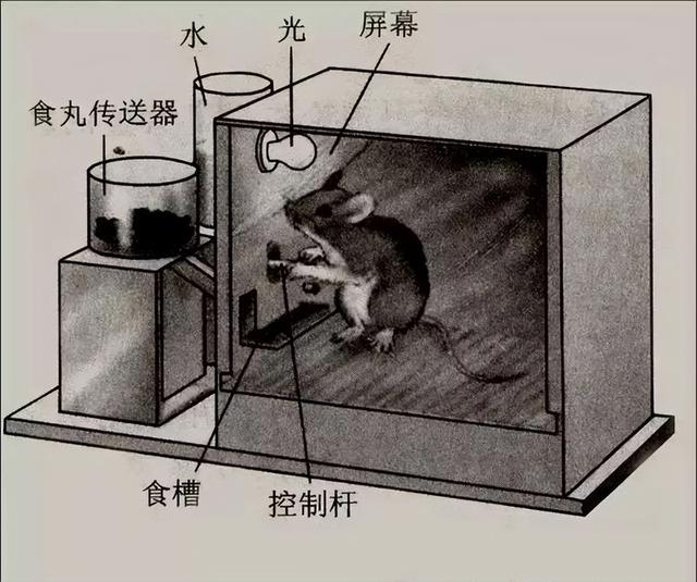 当前最火的网络游戏排行榜（当前最火的网络游戏排行榜前十名）