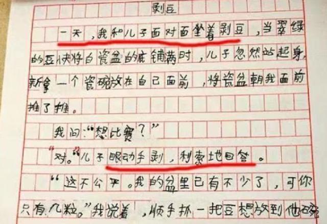 关于网络游戏的议论文800字作文