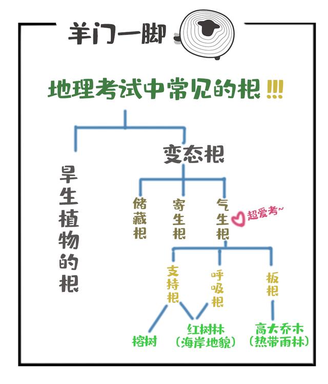 梦幻西游手游植物种子,梦幻西游手游植树