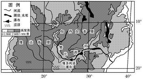 梦幻西游手游植物种子,梦幻西游手游植树