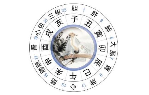 梦幻手游挖宝图技巧攻略,梦幻手游挖宝图技巧攻略