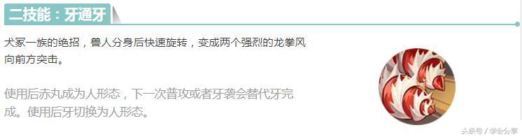 火影忍者手游新年活动,火影过年有什么活动