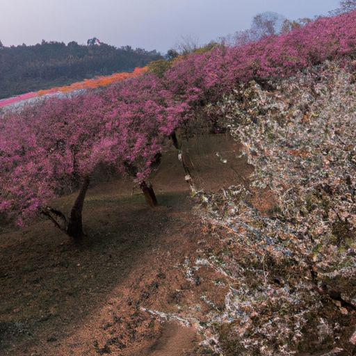 桃花源记手游官网（类似梦幻手游的回合游戏）