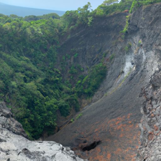 风林火山 手游（风林火山手游官网）