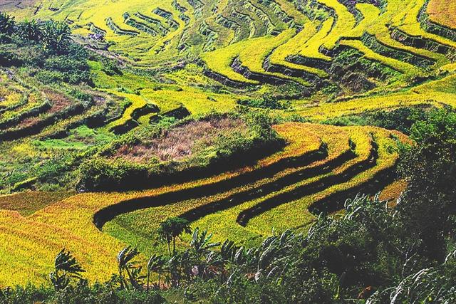 梦幻西游手游五指山是哪个区,梦幻西游手游五指山什么时候开的