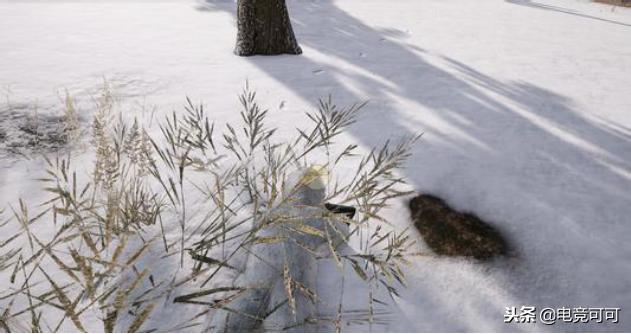 雪地版吃鸡是手游吗知乎,手游吃鸡雪地完整版